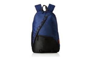 Fastrack 22.26 Ltrs Blue School Backpack